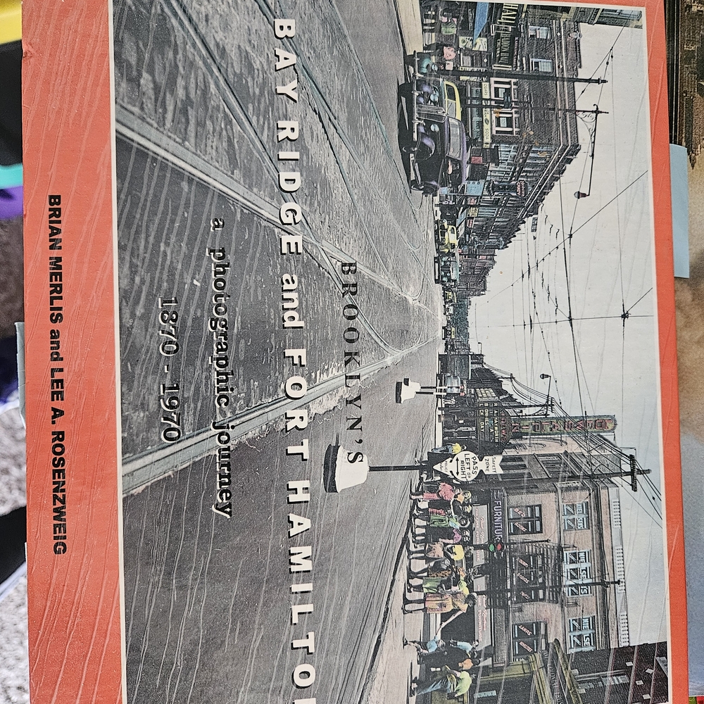 Brooklyn's Bay Ridge and Fort Hamilton Book